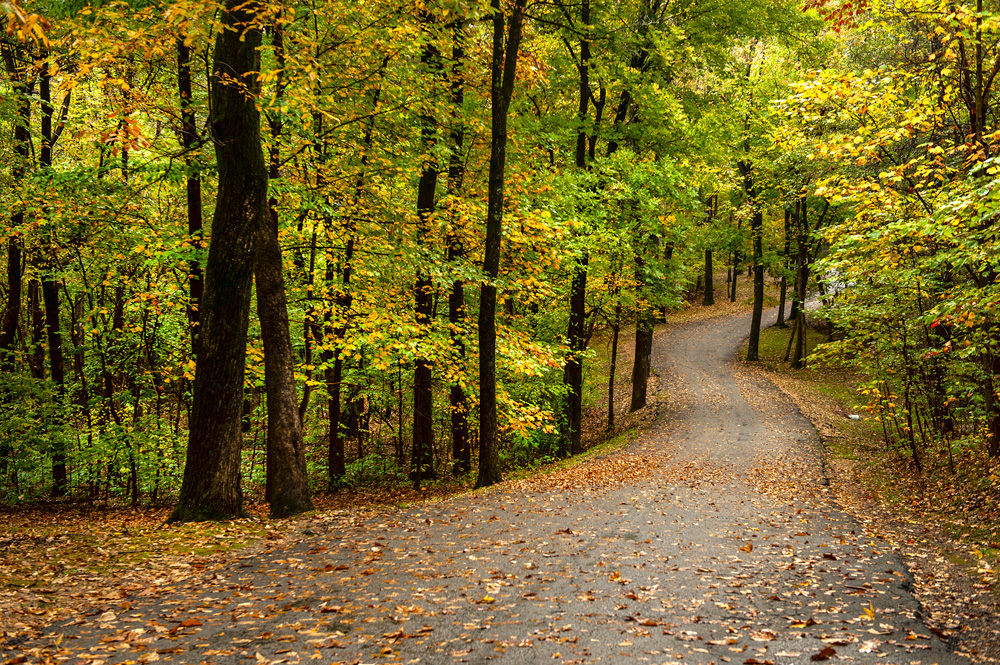 A Guide to Seeing Seasonal Color Changes in the Arkansas Delta.