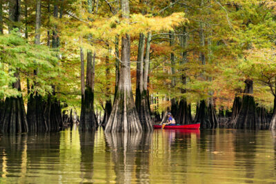 Kayaking through the color on the St. Francis River.