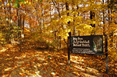 The Arkansas Delta fall color surprises many first time visitors. A hike during peak color at Village Creek State Park is awe-inspiring.