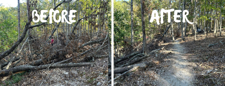 Photo courtesy of Rogue Trails.