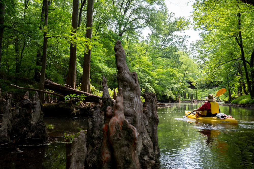 Paddling the Little Maumelle.