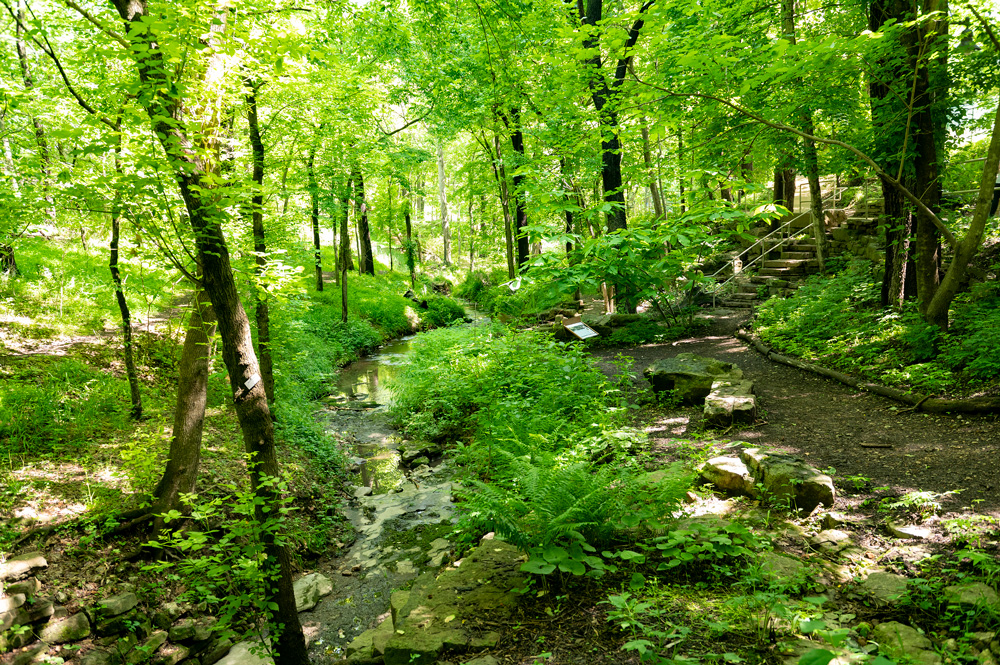 The grounds of the Crystal Bridges Museum of American Art.