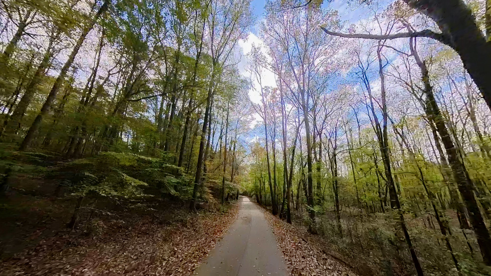 Finishing Fall with a Drive in East Arkansas