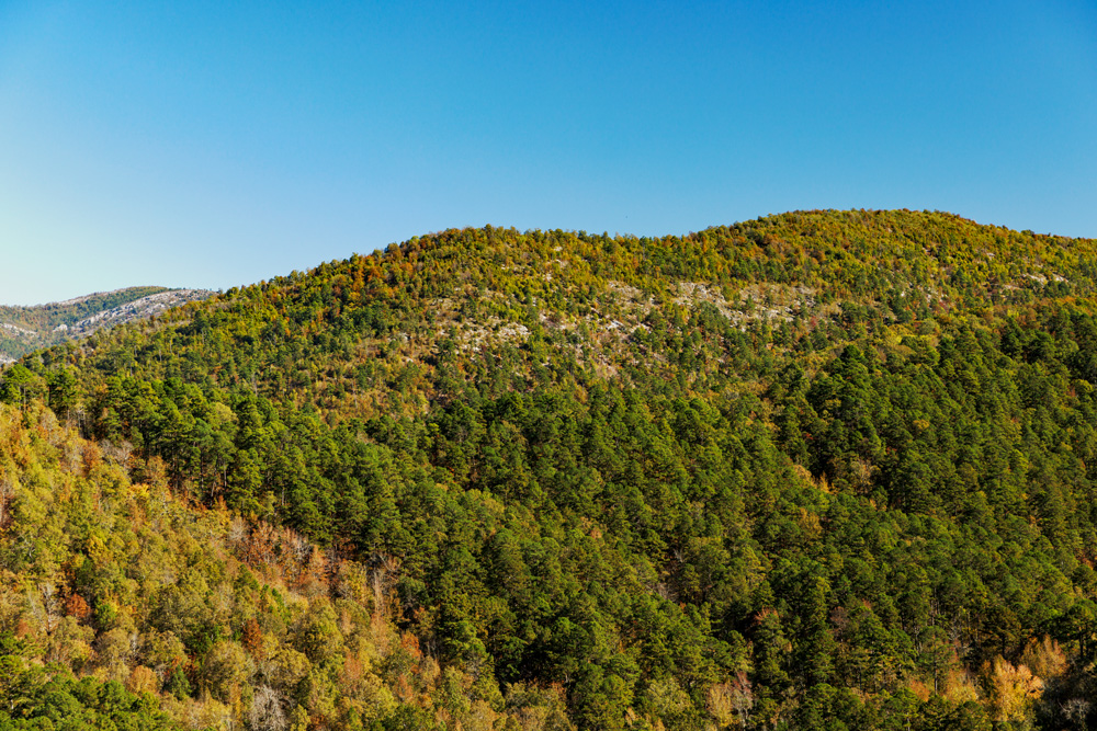 The Ouachita Mountains.