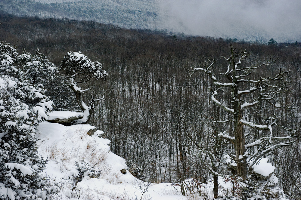 A classic winter view off Mount Magazine.