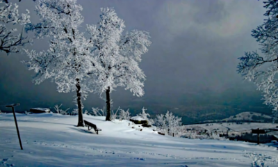 Looking off Mount Nebo after a winter snow.