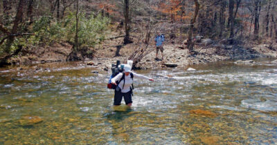 Hit the Trails: Arkansas Hiking Adventures for Every Skill Level