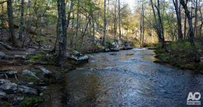 Proposed Improvements in the Draft Master Plan for Petit Jean State Park