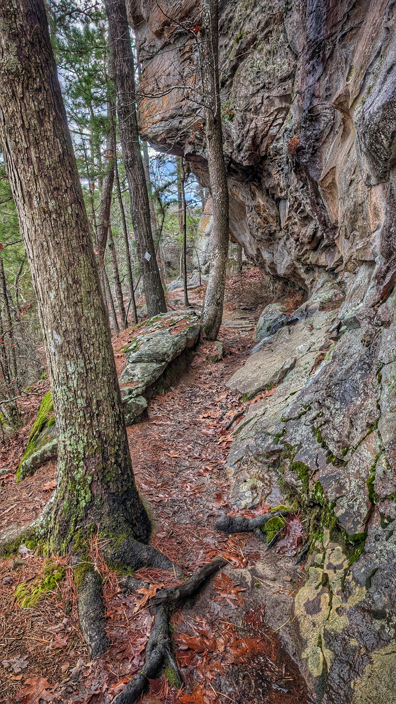 The incredible hike along the Boy Scout Trail.