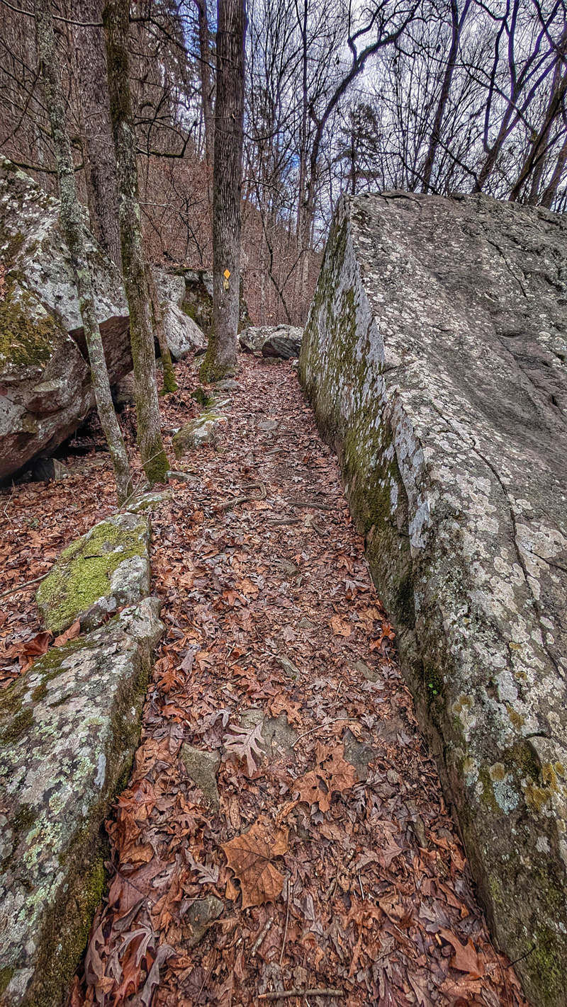 Hiking along the Canyon Trail on our way to Blue Hole.