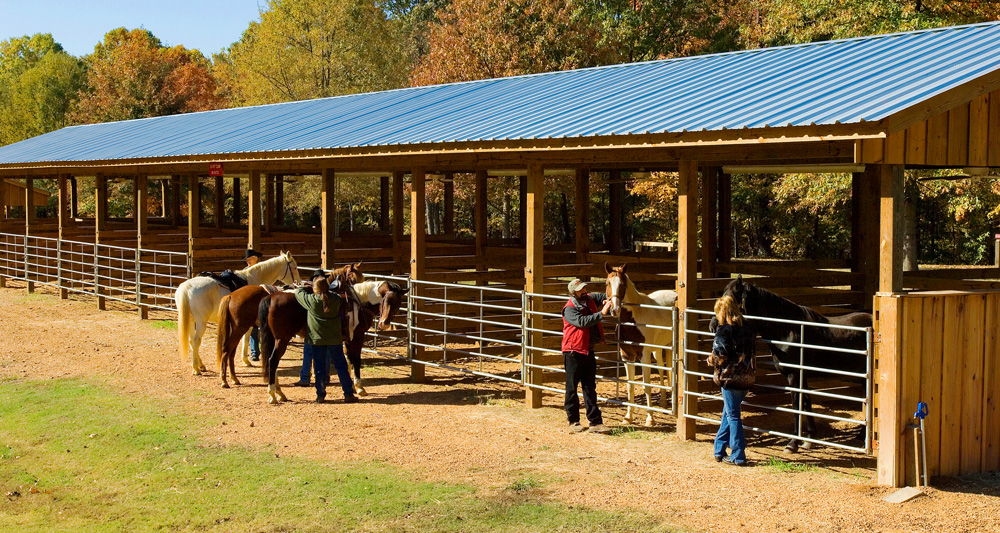 Equestrian Camping Area at Village Creek State Park. (Photo courtesy of ADPHT)