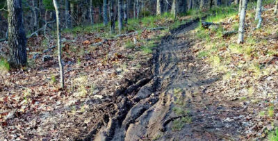 Freeze-Thaw Cycle Trail Impact