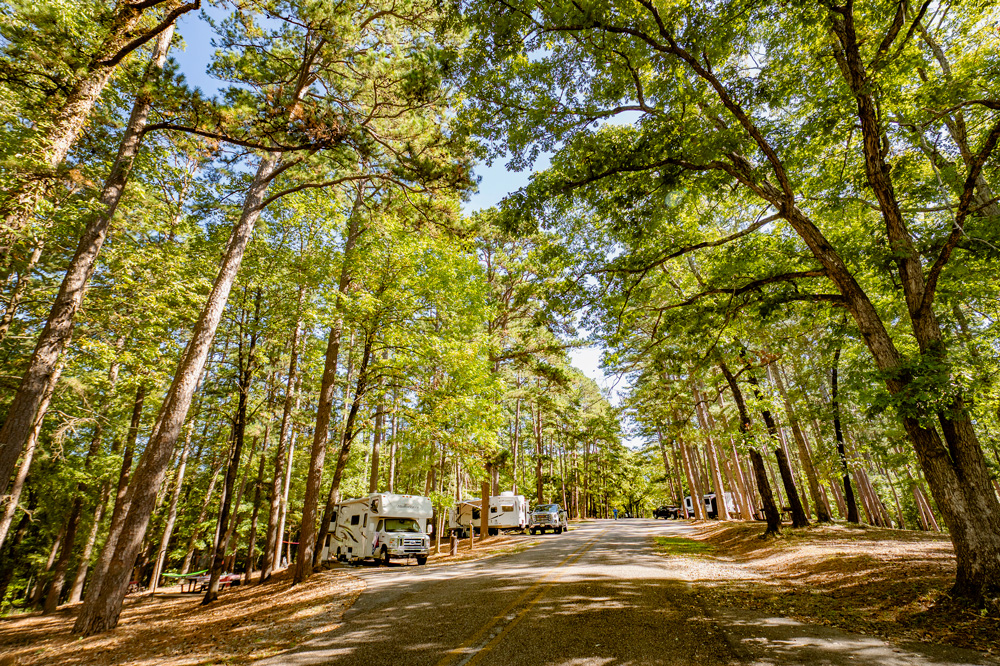 Some of the 100 campsites at Daisy State Park.