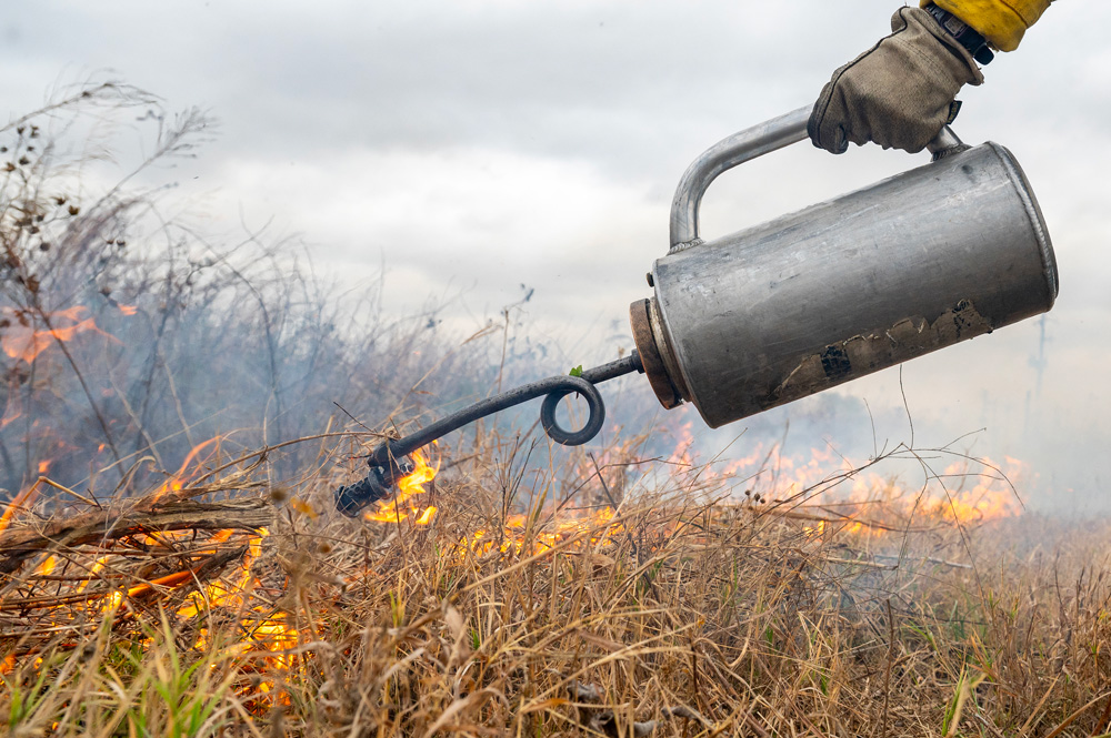 ADPT photo from a prescribed burn at Railroad Prairie.