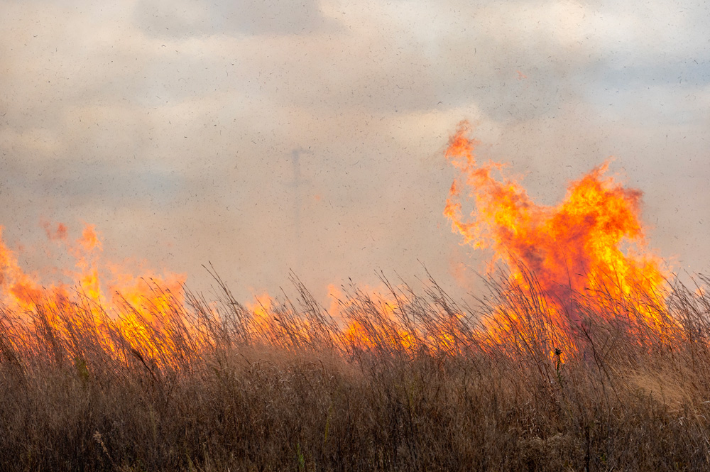 Prescribed fire at Buffalo National River