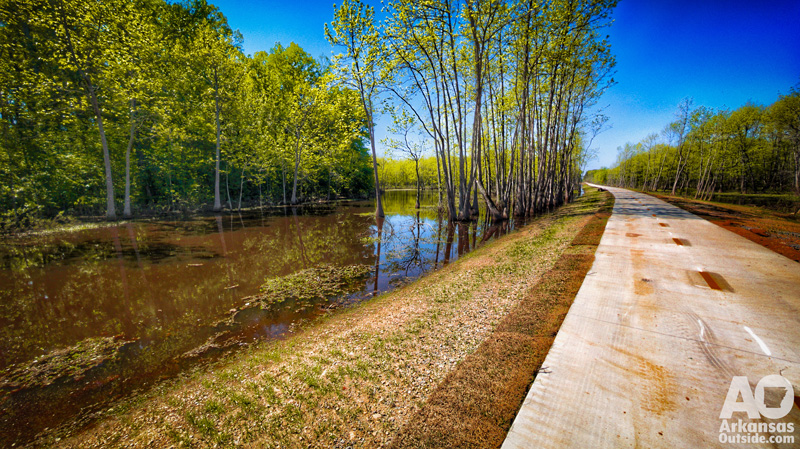 The trail near Hilaro Springs Road is beautiful. A couple of benches along this section would be nice.