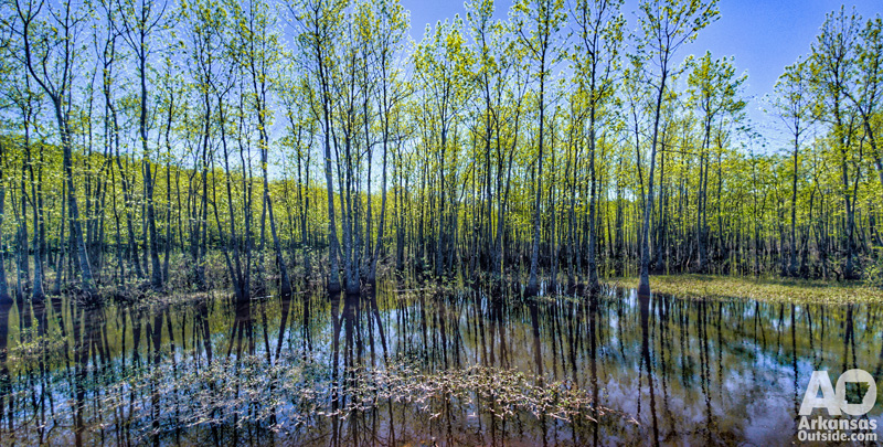 Passing through beautiful wetlands will provide a great location for birdwatching.