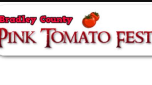 Pink Tomato 5k