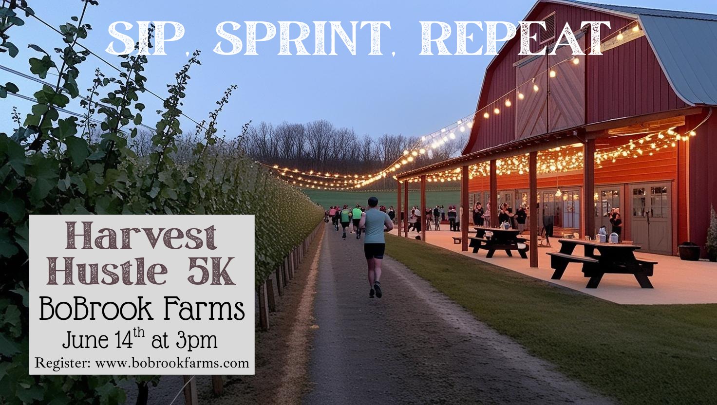 Harvest Hustle 5K