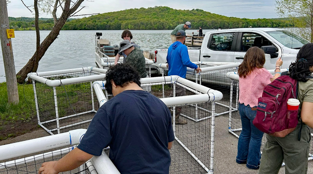 Students and instructors built PVC Arkansas cubes to protect the plants and allow them to create new colonies at Bob Kidd Lake. AGFC photo. Northwest Arkansas schools conservation project