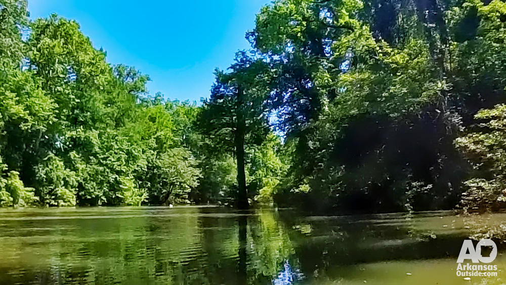 Keep your eyes peeled, on this trip I saw deer, snakes, a lot of turtles, a Great Blue Heron, and a lot of fish jumping.