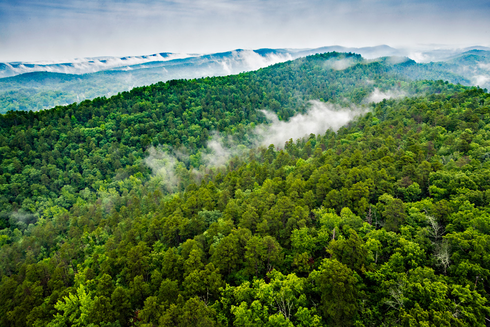 The view from Hot Springs Mountain Tower.