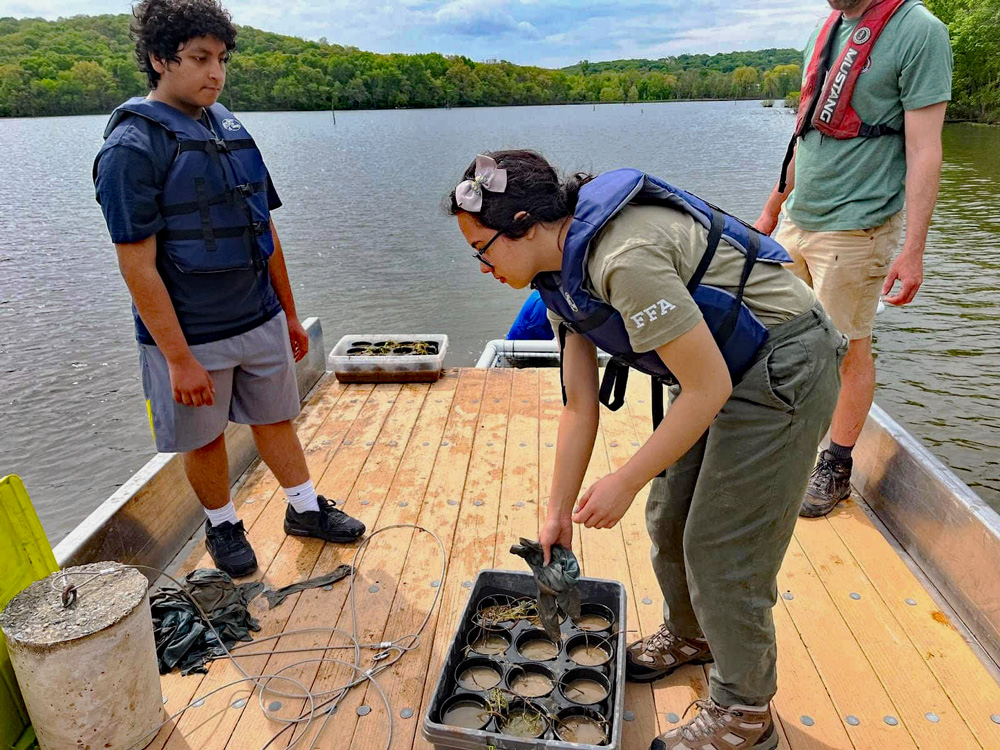 Once Arkansas cubes were in place, students transplanted potted native vegetation to the lake. AGFC photo.