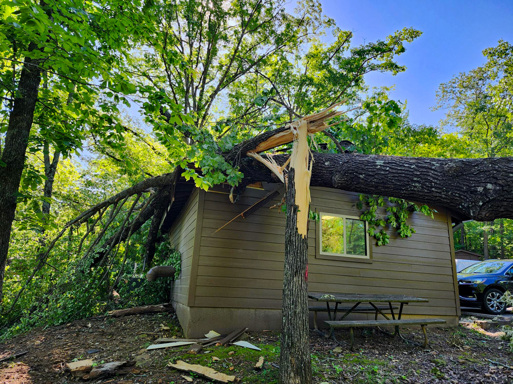 Cabin Damage.