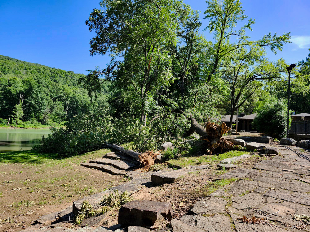 Damage near Lake Devil.