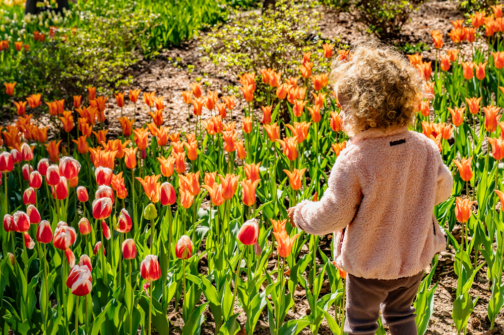 Everyone loves to see the beautiful gardens at Garvin Woodland Gardens. Photo courtesy of ADPHT.