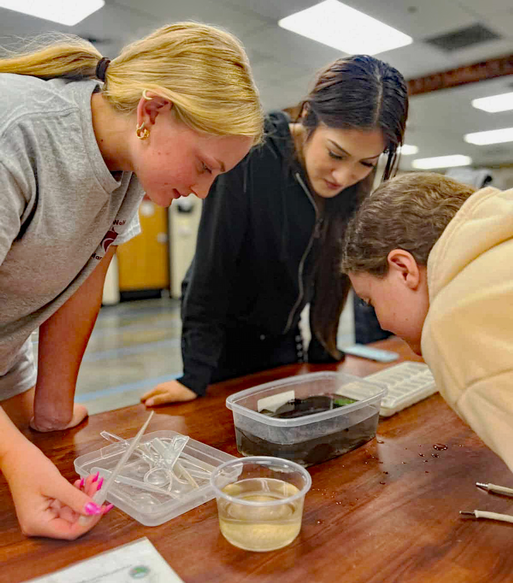 Lincoln High School students estimated water quality through investigations of macroinvertebrates found in the water during one class session last year. Photo courtesy Hailey Robinson.