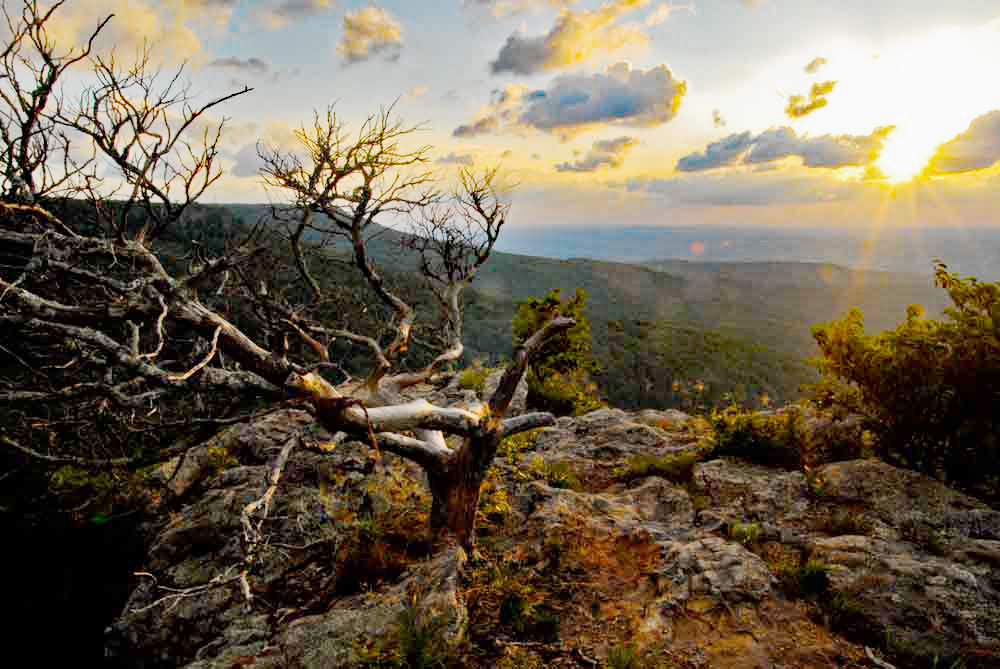 Escape the Summer Heat in Arkansas
