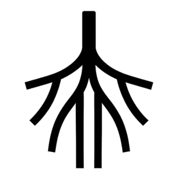 Fayetteville Ultra Circuit