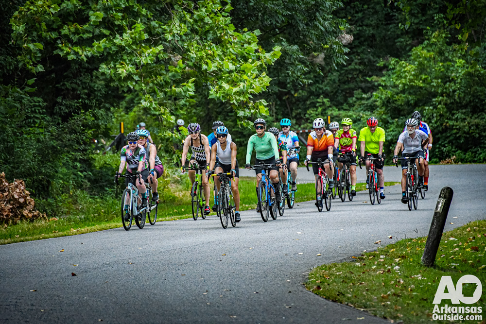 A group of brightly colored road cyclists coming around a bend in the road in a forest setting.