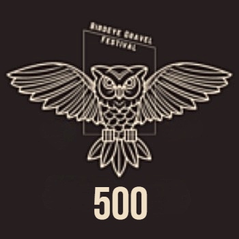 Birdeye 500