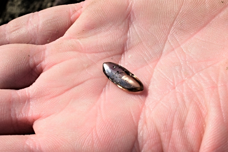 the William Diamond,