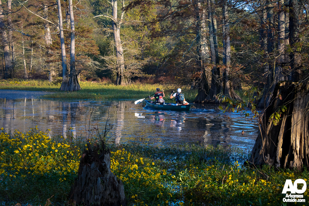 Wetlands paddle in the 2014 race.