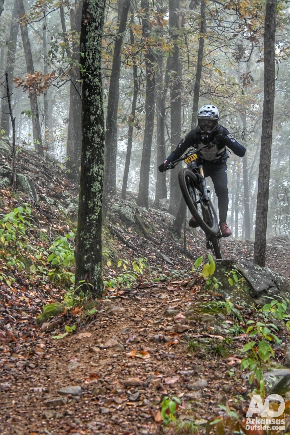 A little flair at the top of the Dynamite Trail at Pinnacle Mountain State Park.