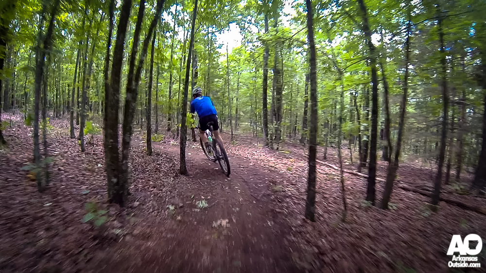 Enders Fault Mountain Bike Trail near Greenbrier, AR.