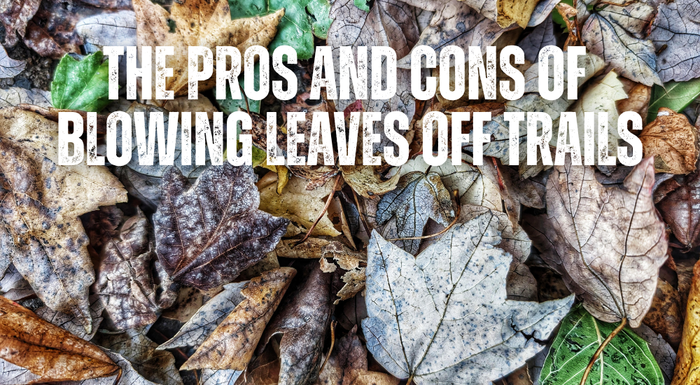 Blowing Leaves off Trails