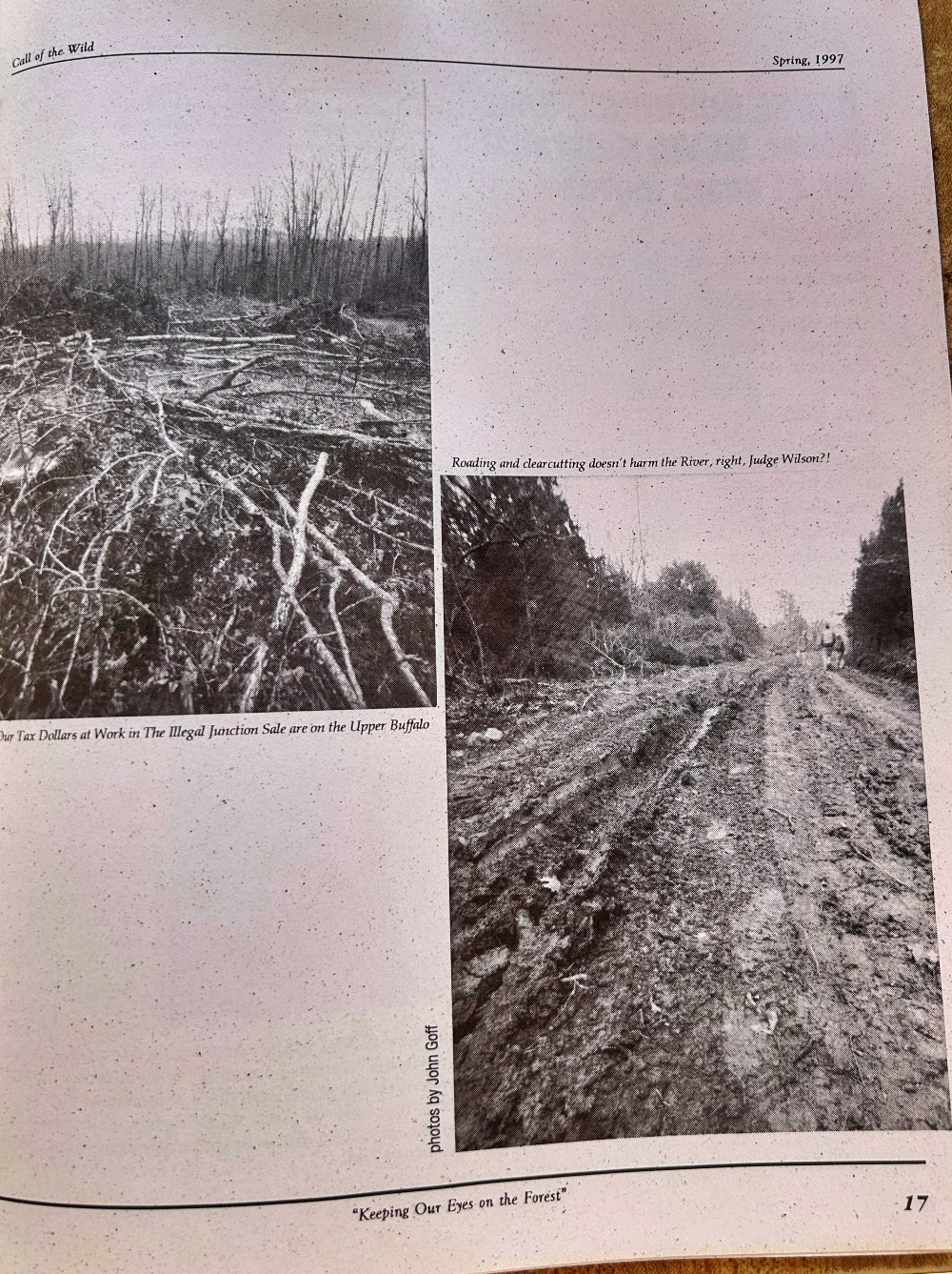Damage to the Upper Buffalo area from logging.