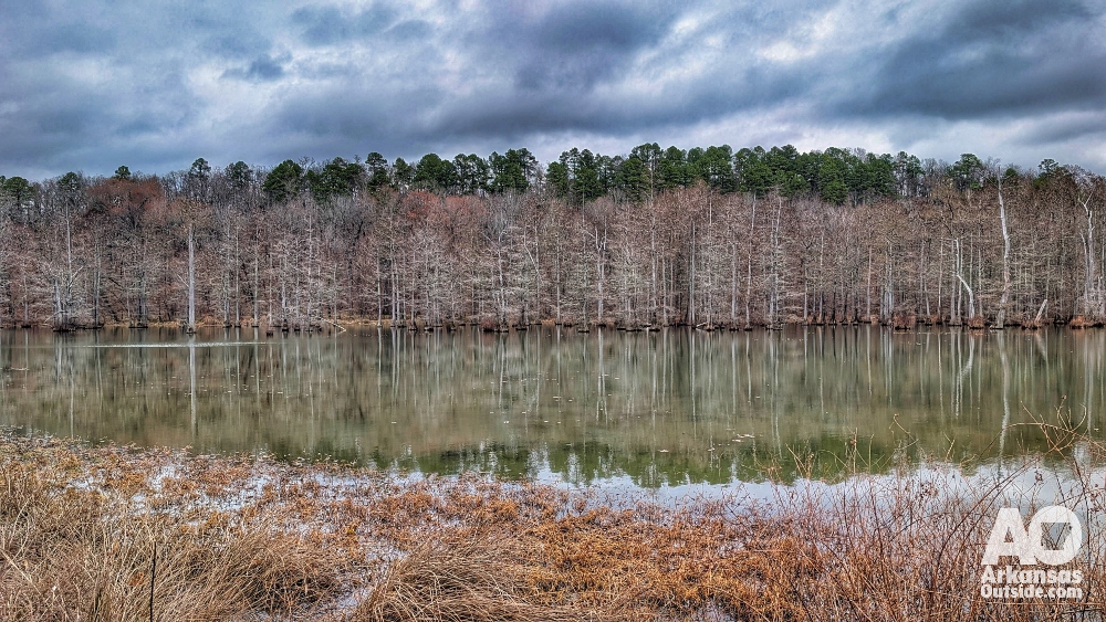 The view across the Little Maumelle River from the Preserve.