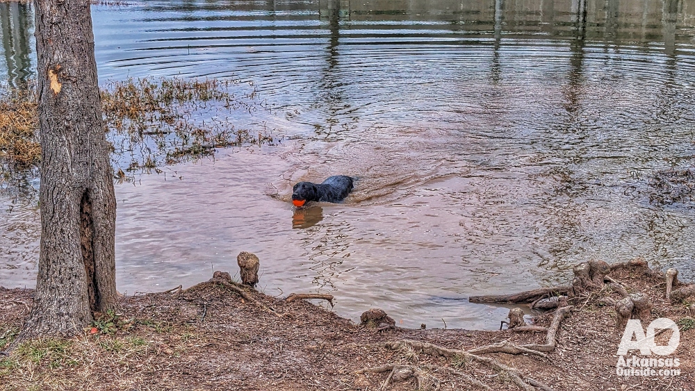 Endo retrieving his Christmas present from the Little Maumelle.