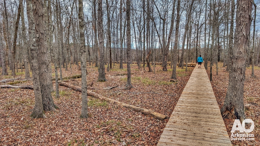 One of the longer boardwalk sections.