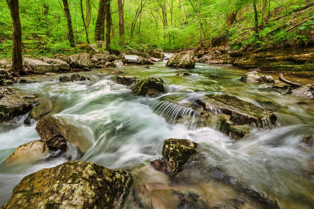 Stream at Blanchard Caverns Recreation Area.