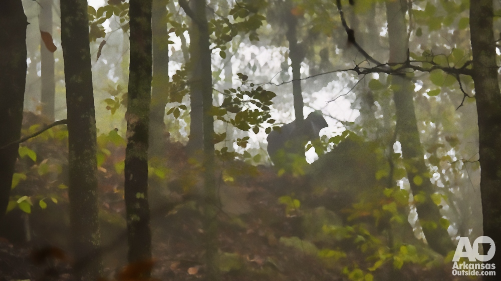 Riding an Arkansas mountain bike trail.