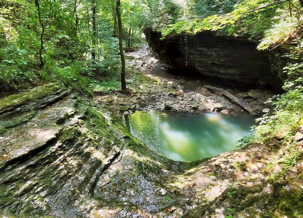 Northwest Arkansas Land Trust accreditation