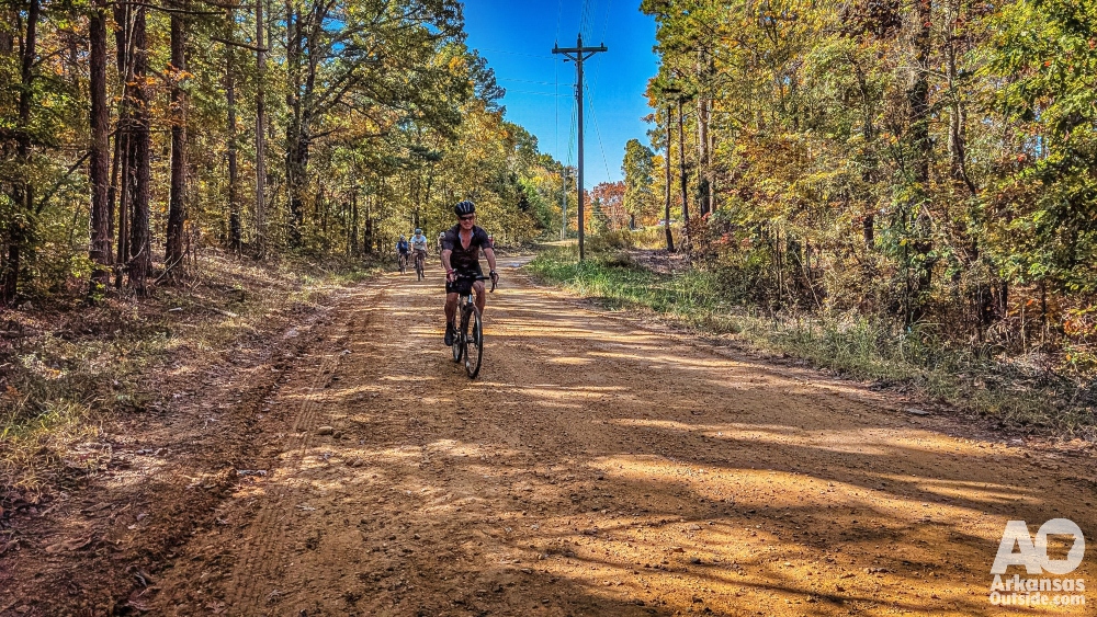 Wooded area of Crowley's Ridge.