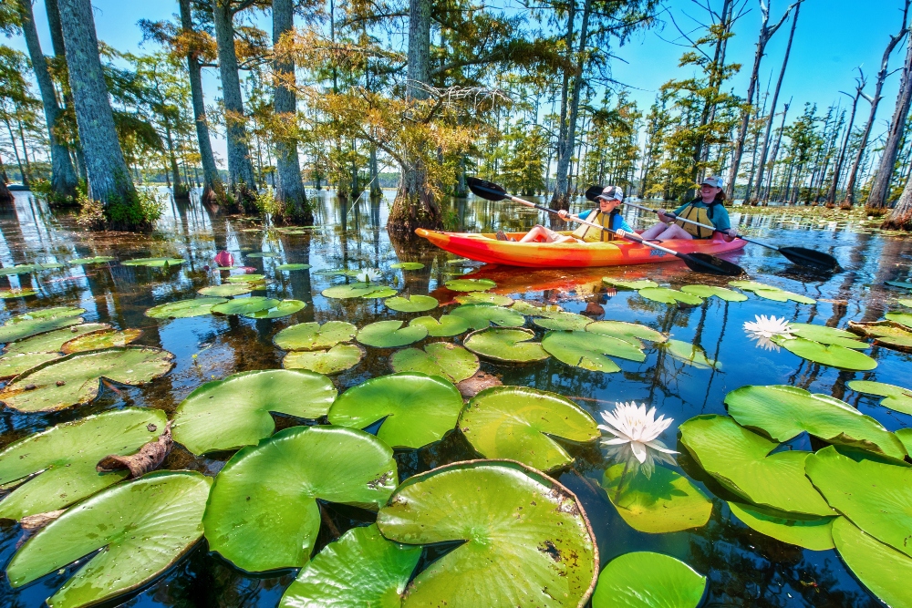Kayaking is just one of the activities available at Cane Creek State Park.