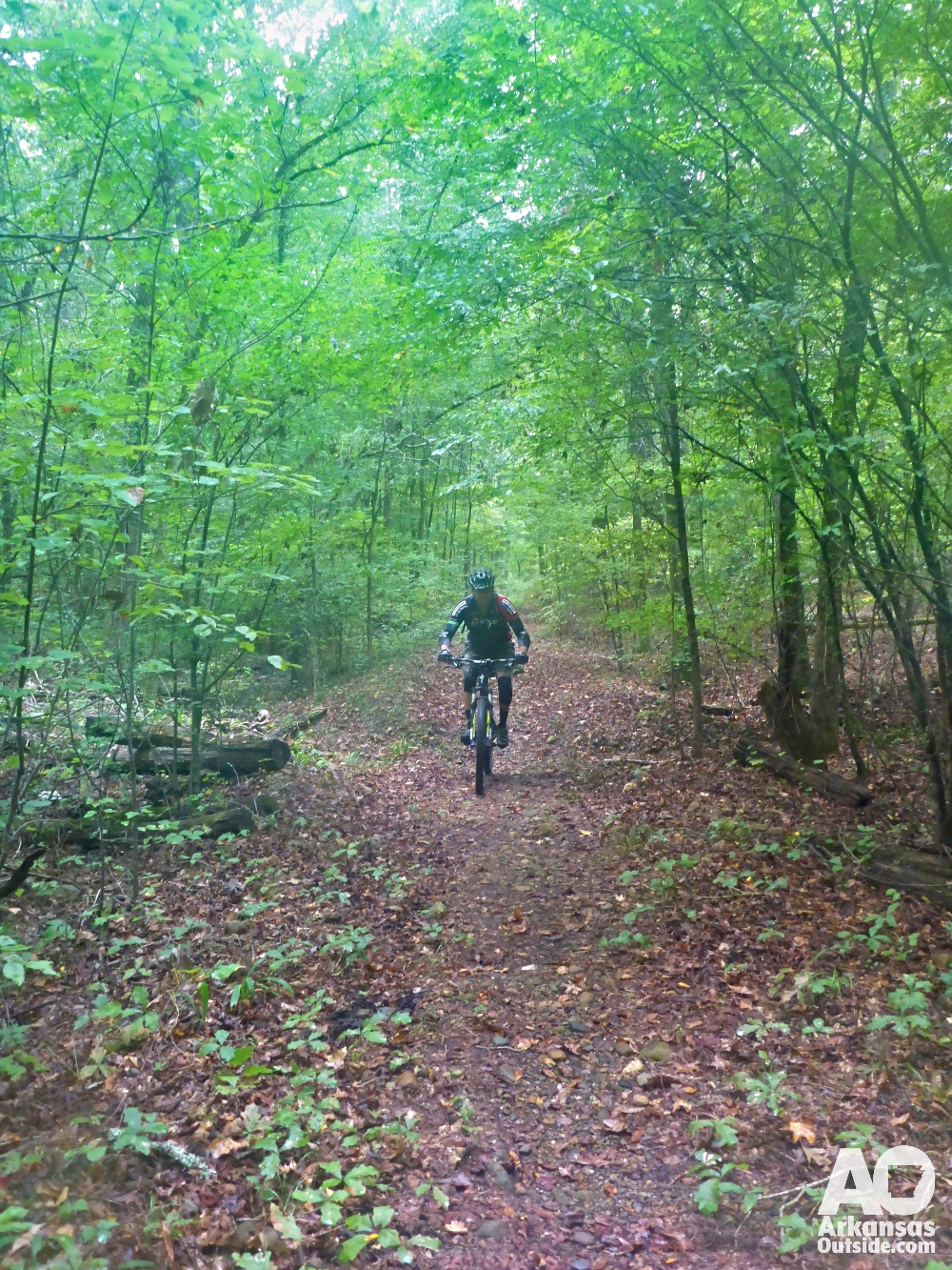 Riding on one of the old road grades.